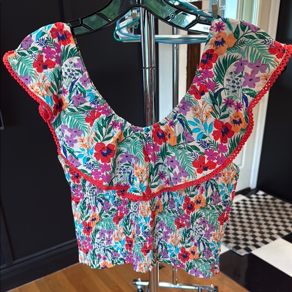 Lost + Wander Blue and Pink Ruffled Crop Blouse